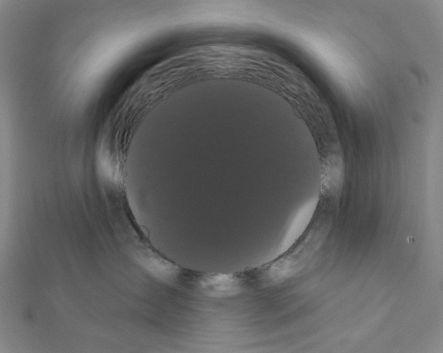 X0000111460431200908241323