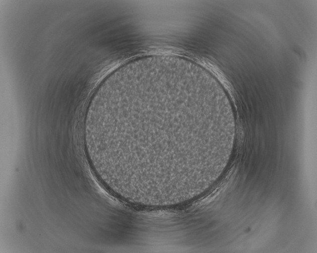 X0000111460433200908241322