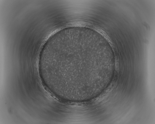 X0000111460434200908241322