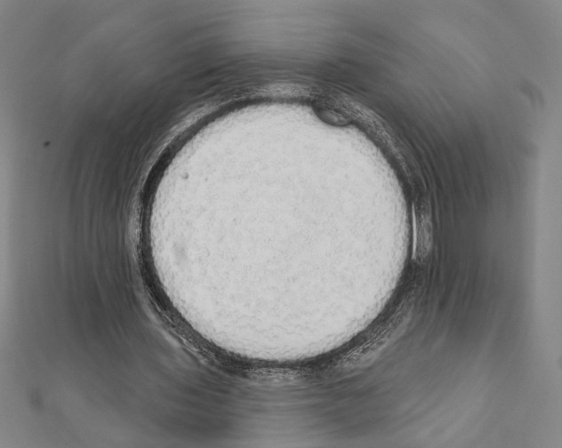 X0000111460435200908241322