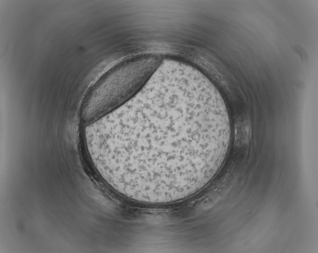 X0000111460436200908241322