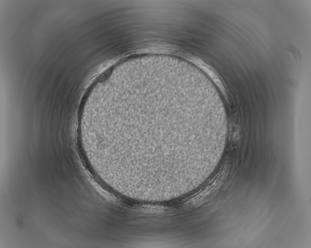 X0000111460437200908241323