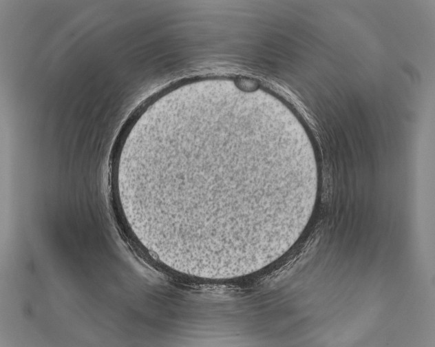 X0000111460439200908241323