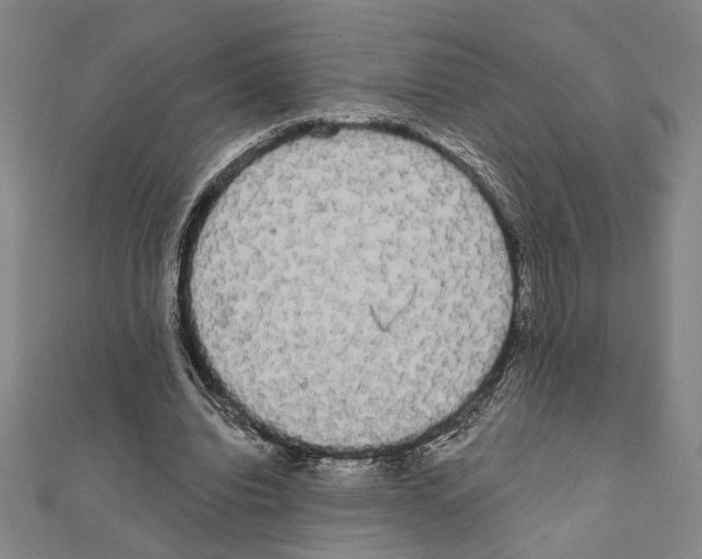 X0000111460440200908241323