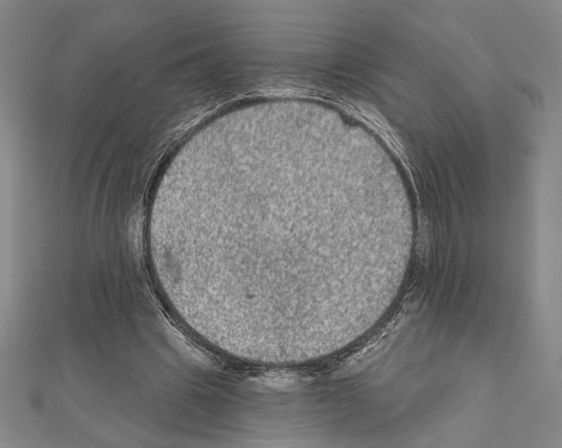 X0000111460441200908241323