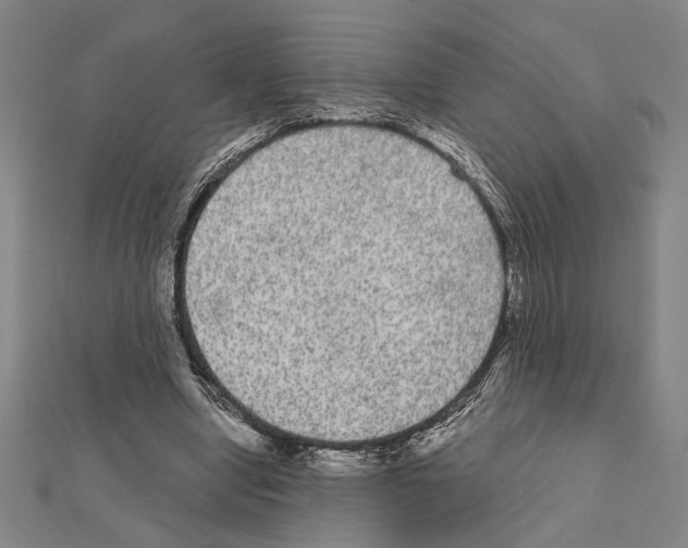 X0000111460442200908241323