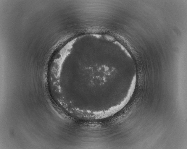 X0000111460443200908241323