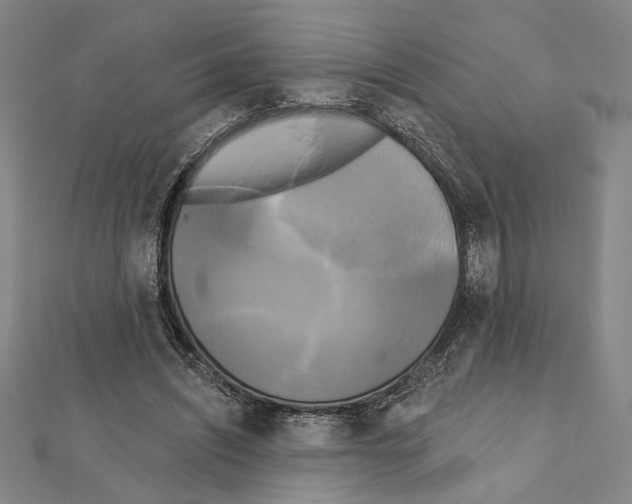 X0000111460444200908241323