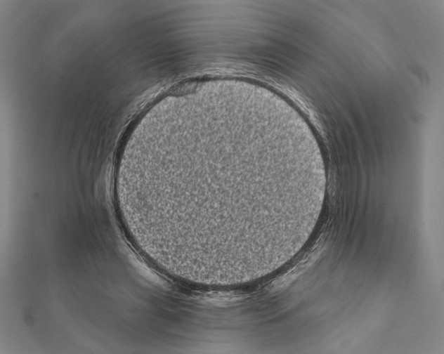 X0000111460445200908241323