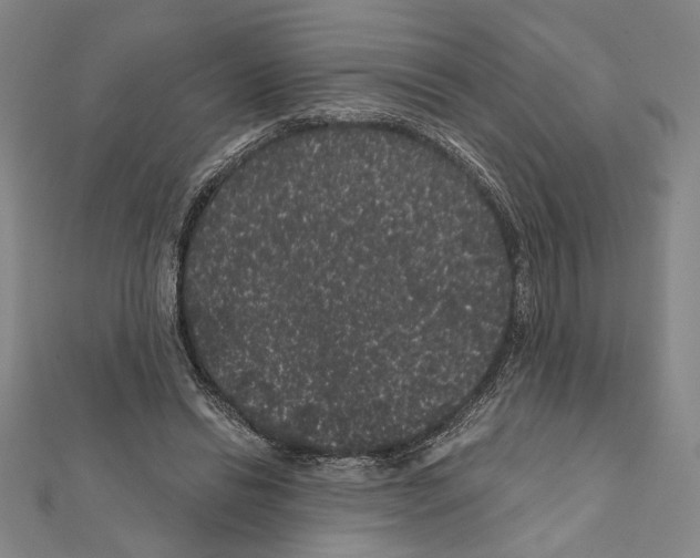 X0000111460446200908241323
