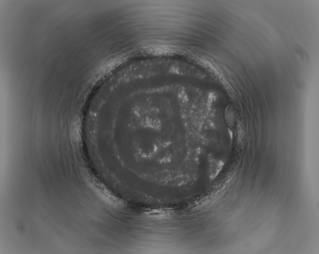 X0000111460447200908241323