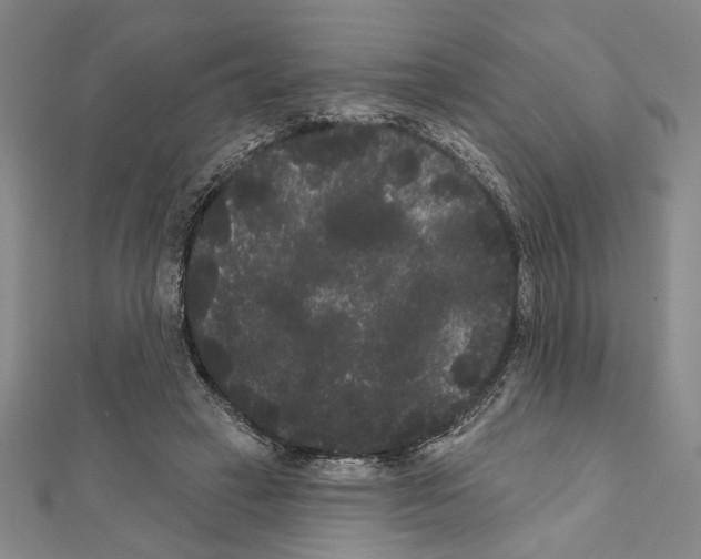 X0000111460449200908241323