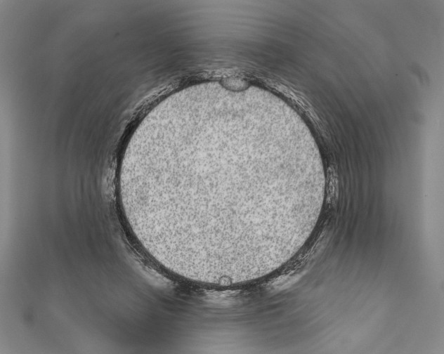 X0000111460450200908241323