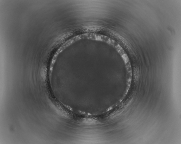 X0000111460451200908241323
