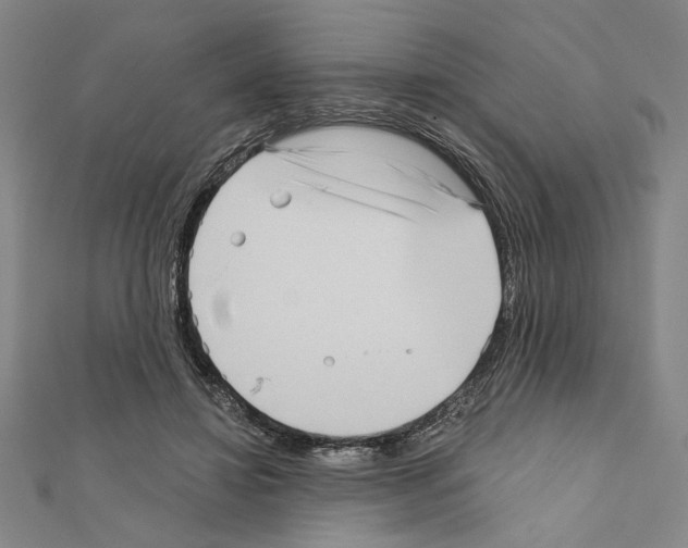 X0000111460452200908241323