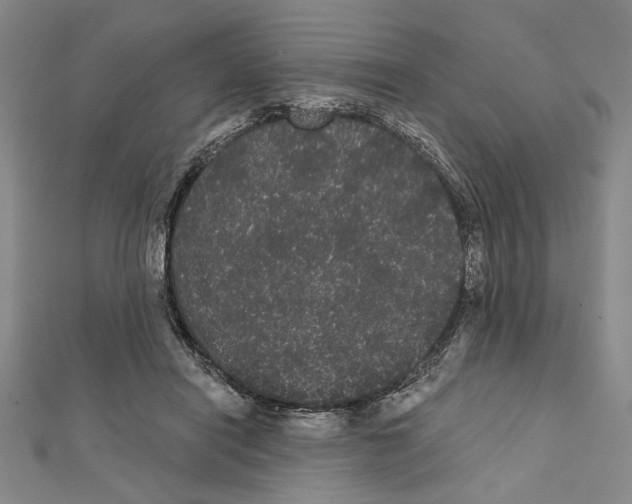 X0000111460454200908241323
