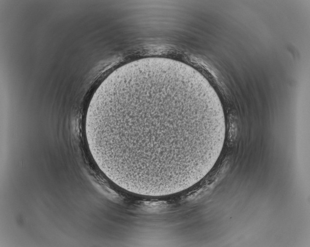 X0000111460455200908241323