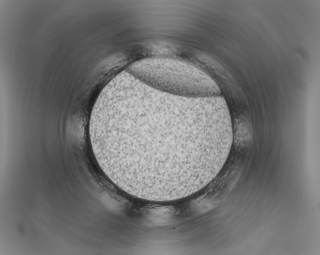 X0000111460456200908241323