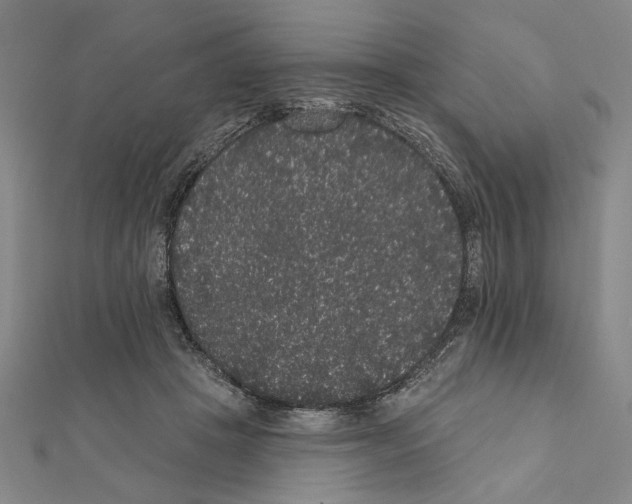X0000111460457200908241323