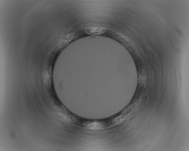 X0000111460460200908241323
