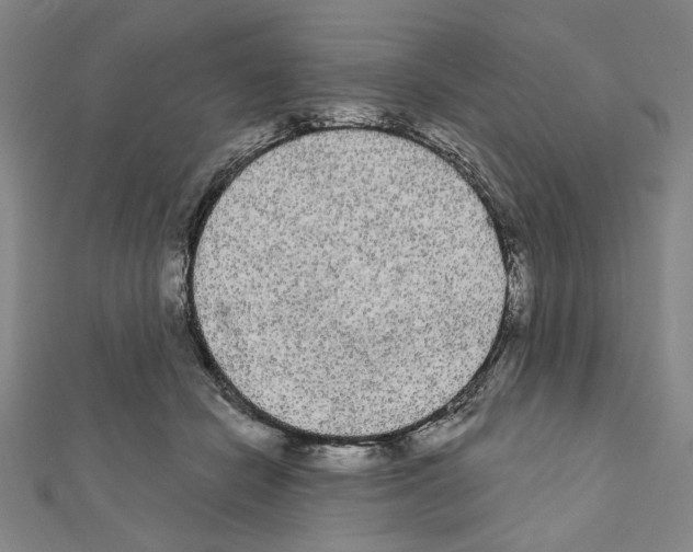 X0000111460462200908241323
