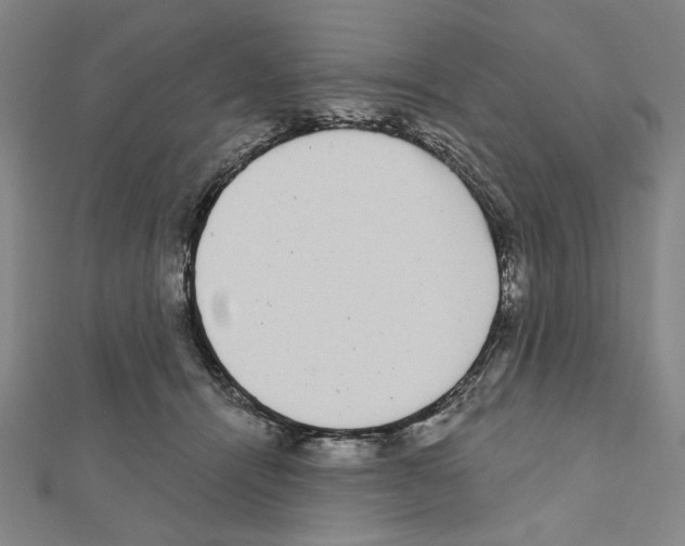 X0000111460464200908241323