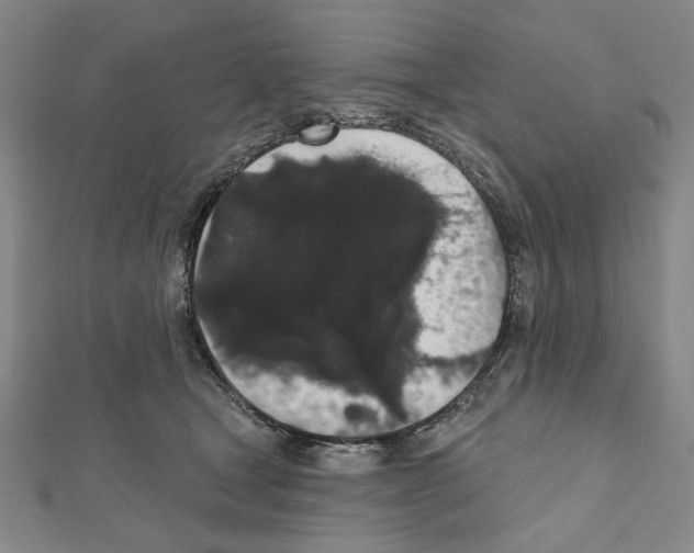X0000111460465200908241323
