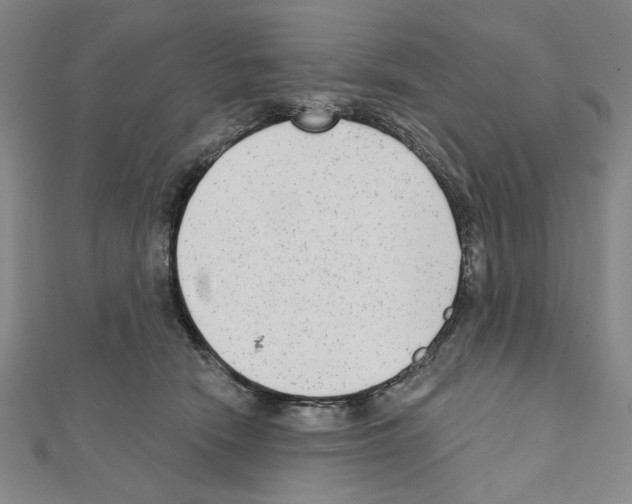 X0000111460466200908241323