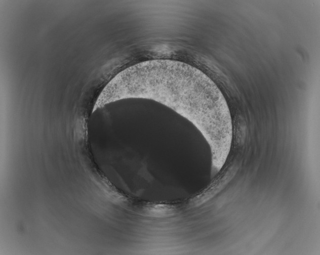 X0000111460467200908241323