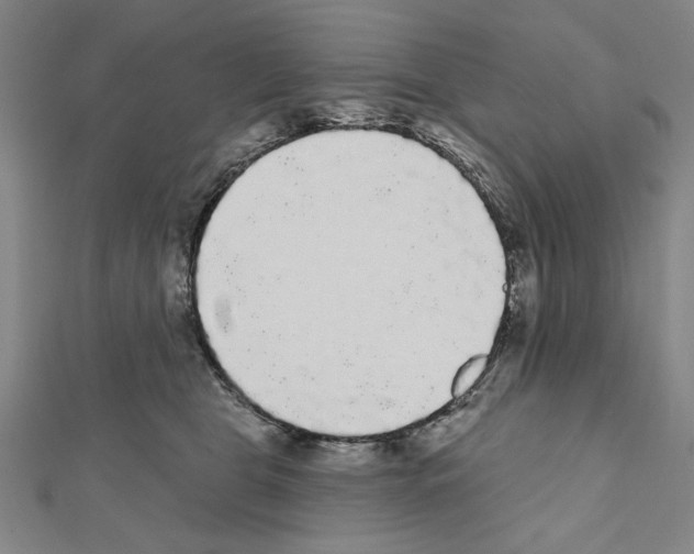 X0000111460469200908241323