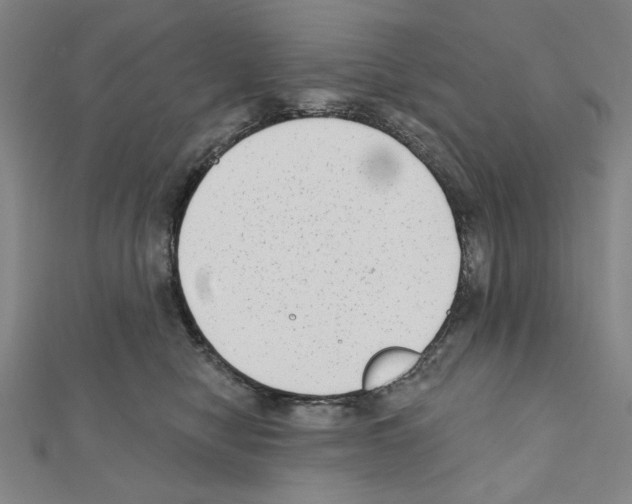 X0000111460470200908241323
