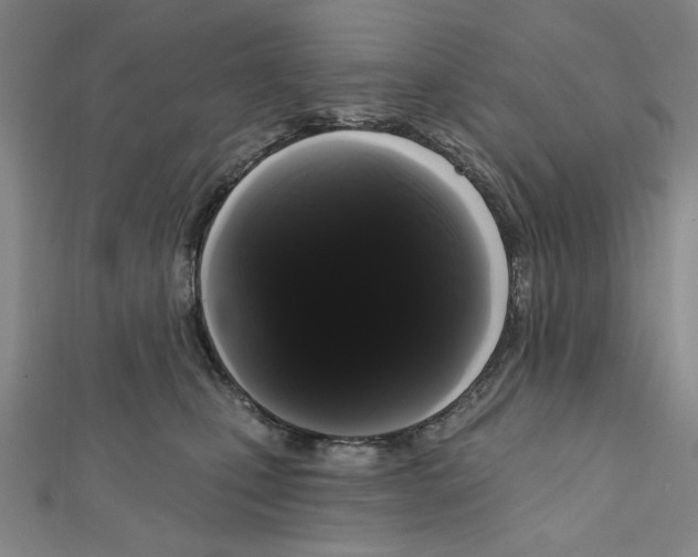 X0000111460471200908241323