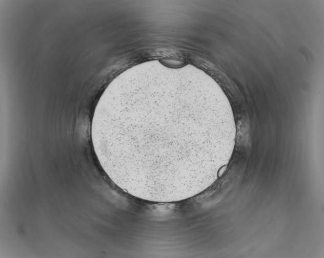 X0000111460474200908241323