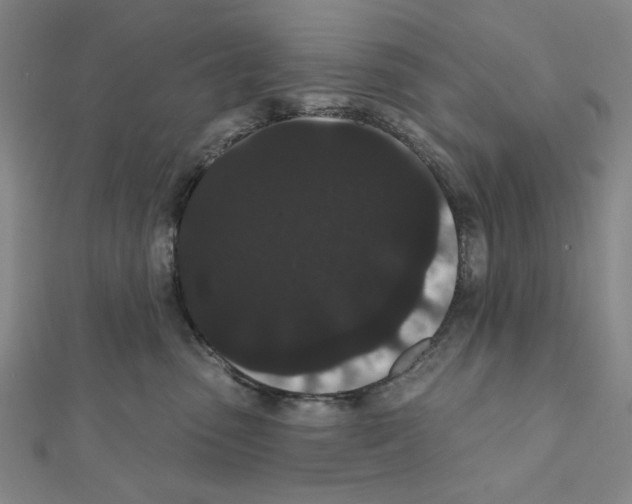 X0000111460475200908241323