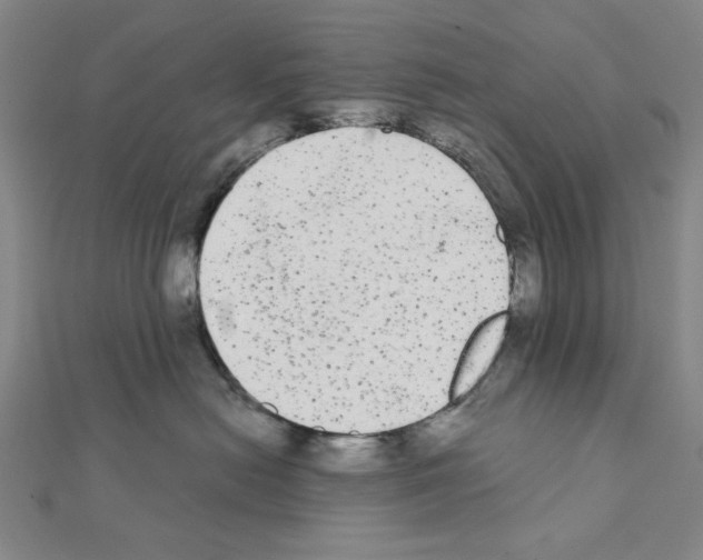 X0000111460478200908241323