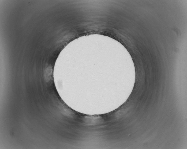 X0000111460480200908241323