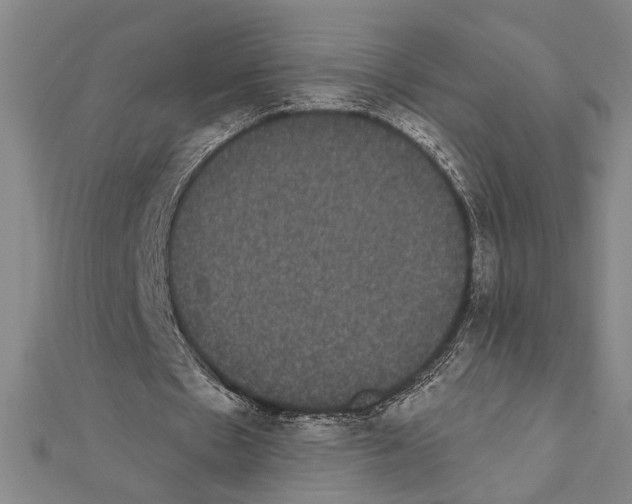 X0000111460481200908241322