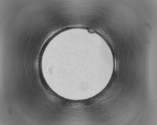 X0000111460483200908241322