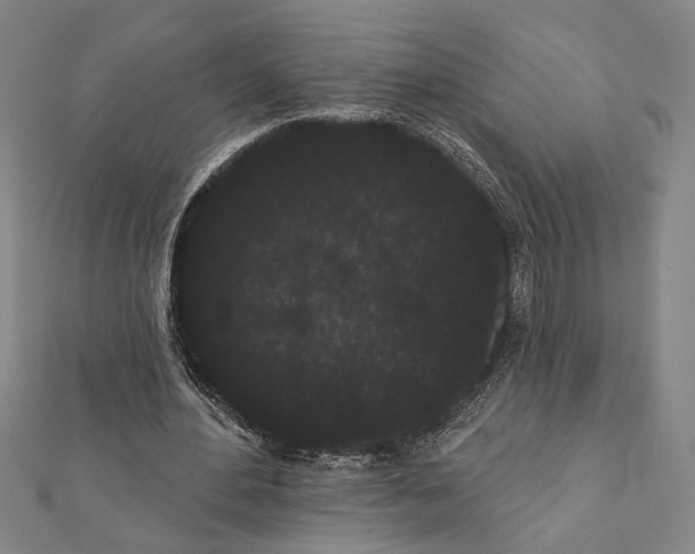 X0000111460484200908241322