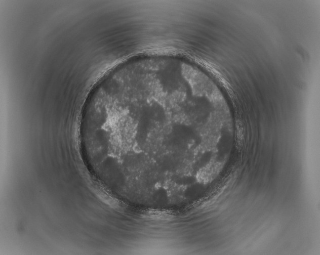 X0000111460487200908241322