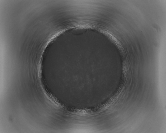 X0000111460488200908241322