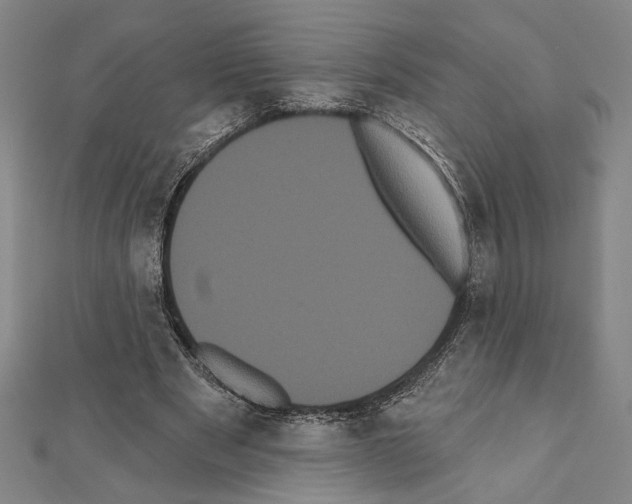 X0000111460489200908241322