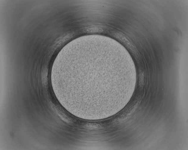 X0000111460490200908241322