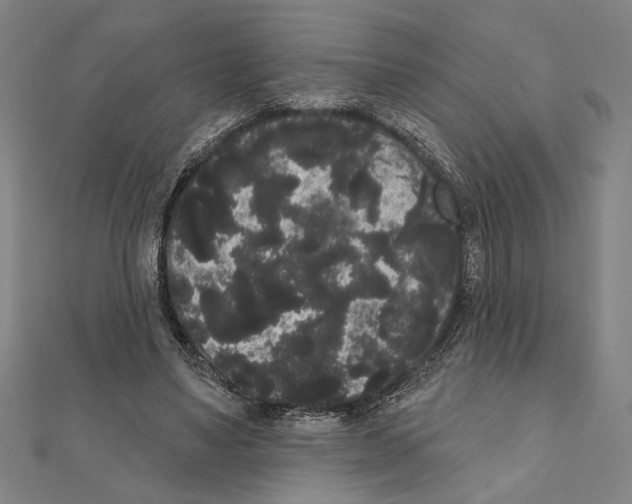 X0000111460491200908241322