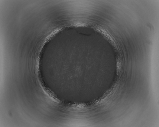 X0000111460492200908241322