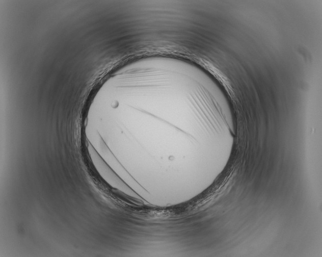 X0000111460493200908241322