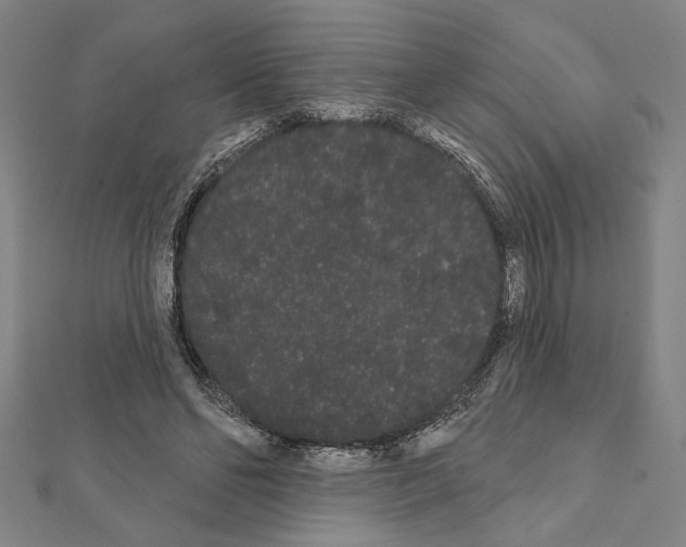 X0000111460494200908241322