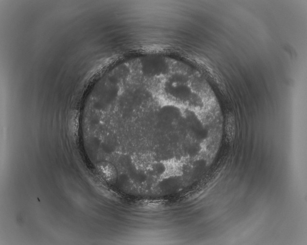 X0000111460495200908241322