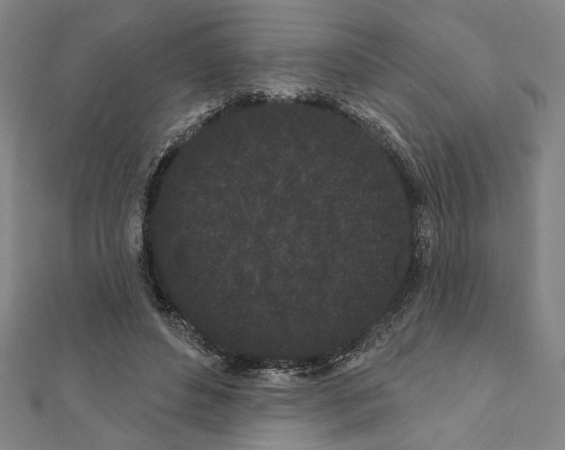 X0000111460496200908241322