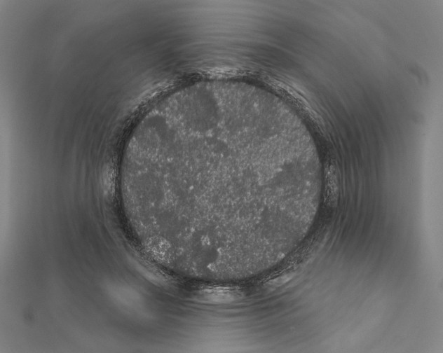X0000111460499200908241322